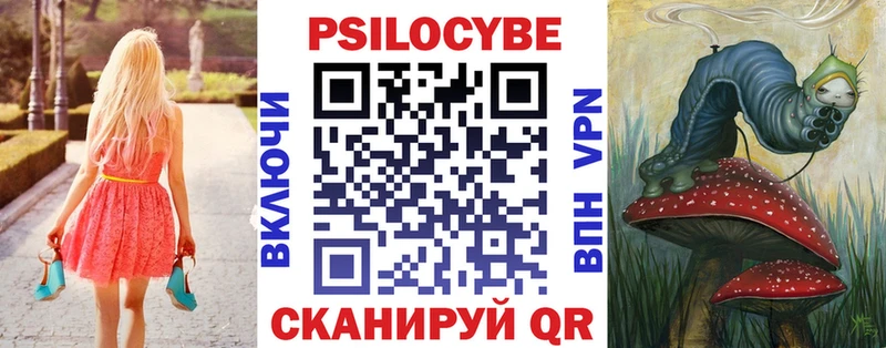 купить   Ленск  Псилоцибиновые грибы мицелий 