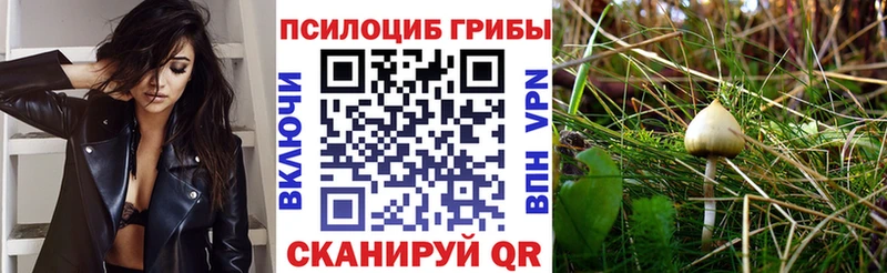 Галлюциногенные грибы GOLDEN TEACHER Ленск